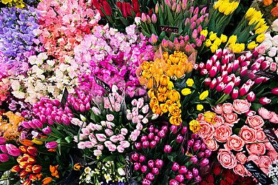 《暗黑破坏神4》未来更新详情 首个赛季活动12月13日上线